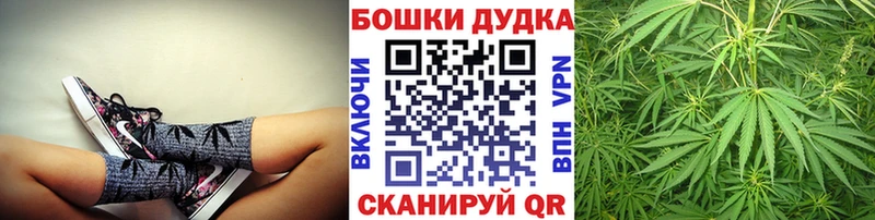 Марихуана Amnesia  что такое   Магас 